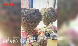 日本肉肉视频,揭秘独特美食文化魅力